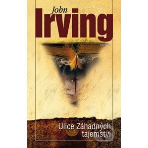Ulice záhadných tajemství - John Irving