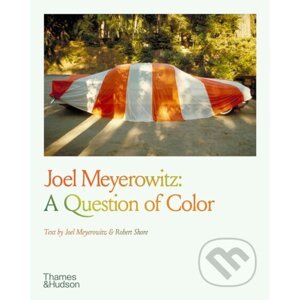 Joel Meyerowitz: A Question of Colour - Joel Meyerowitz, Robert Shore