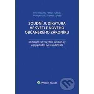 Soudní judikatura ve světle nového občanského zákoníku - Kolektív autorov