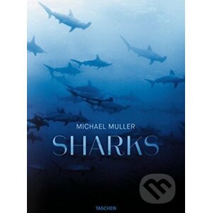 Sharks - Michael Muller