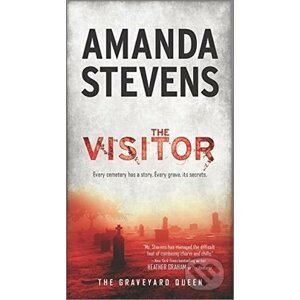 The Visitor - Amanda Stevens