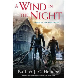 A Wind in the Night - Barb Hendee