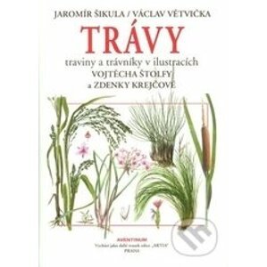 Trávy, traviny a trávniky - Jaromír Šikula, Václav Větvička