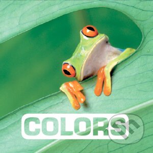 Colors - Marie Vendittelli