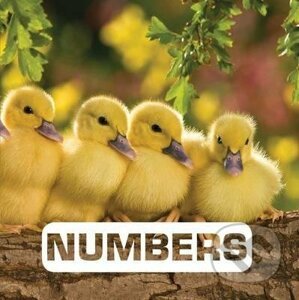 Numbers - Judith Nouvion