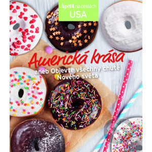 Americká krása - kuchařka z edice Apetit na cestách - USA - BURDA Media 2000