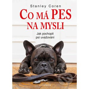 Co má pes na mysli - Stanley Coren