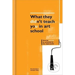 What They Didn't Teach You in Art School - Rosalind Davis, Annabel Tilley