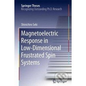 Magnetoelectric Response in Low-Dimensional Frustrated Spin Systems - Shinichiro Seki