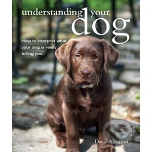 Understanding Your Dog - David Alderton