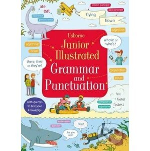 Junior Illustrated Grammar and Punctuation - Jane Bingham