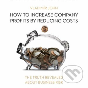How to increase company profits by reducing costs (EN) - Vladimír John