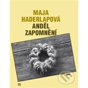Anděl zapomnění - Maja Haderlapová