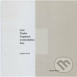 Fragment (rytierskeho lesa) - Ivan Štrpka