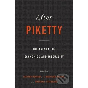After Piketty - Heather Boushey, J. Bradford DeLong a kol.