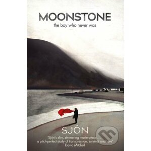Moonstone: The Boy Who Never Was - Sjón