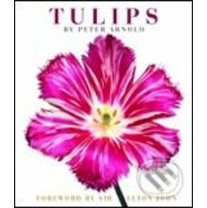 Tulips - Te Neues