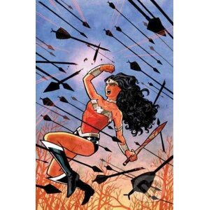 Absolute Wonder Woman - Brian Azzarello, Cliff Chiang (ilustrácie)
