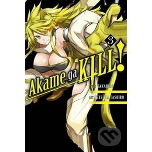 Akame ga Kill! (Volume 3) - Takahiro