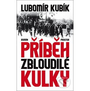 Příběh zbloudilé kulky - Lubomír Kubík