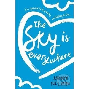 The Sky Is Everywhere - Jandy Nelson