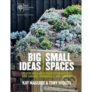 Big Ideas, Small Spaces - Kay Maguire