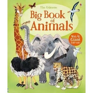 Big Book Of Animals - Hazel Maskell