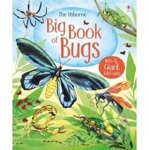 Big Book Of Bugs - Emily Bone