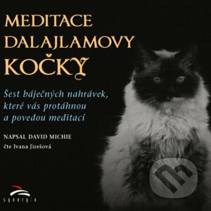Meditace dalajlamovy kočky - David Michie