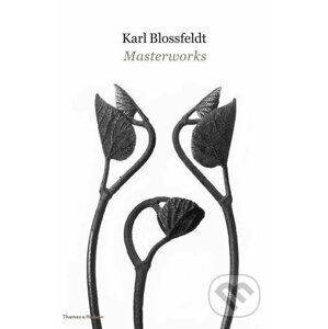 Karl Blossfeldt: Masterworks - Hansjörg Küster, Ann Wilde