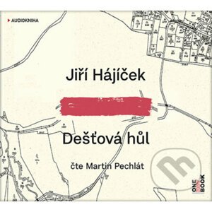 Dešťová hůl (audiokniha) - Jiří Hájíček