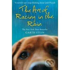 Art of Racing in Rain - Garth Stein