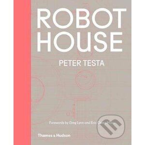 Robot House - Peter Testa
