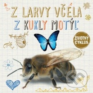 Životný cyklus – Z larvy včela, z kukly motýľ - Svojtka&Co.