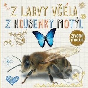 Z larvy včela / Z housenky motýl - Svojtka&Co.