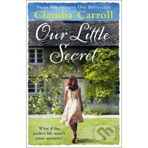 Our Little Secret - Claudia Carroll