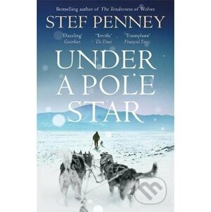 Under a Pole Star - Stef Penney