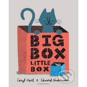Big Box Little Box - Caryl Hart, Edward Underwood