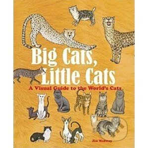 Big Cats, Little Cats - Jim Medway