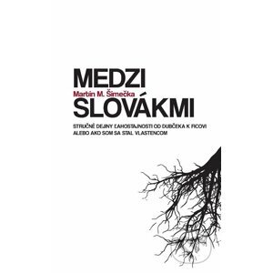 Medzi Slovákmi - Martin M. Šimečka
