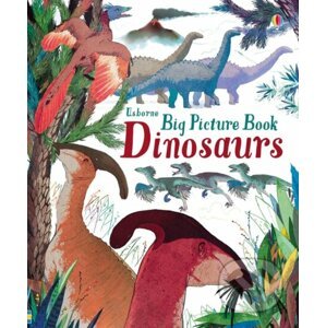 Big picture book Dinosaurs - Laura Cowan