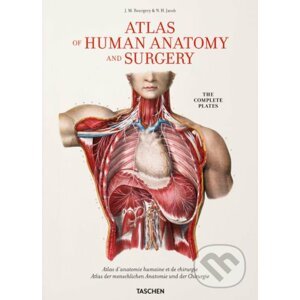 Atlas of Human Anatomy and Surgery - Jean-Marie Le Minor