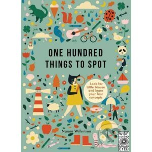 One Hundred Things to Spot - Naomi Wilkinson