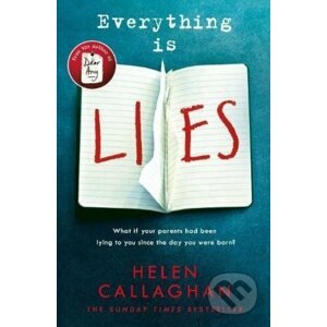 Everything is Lies - Helen Callaghan