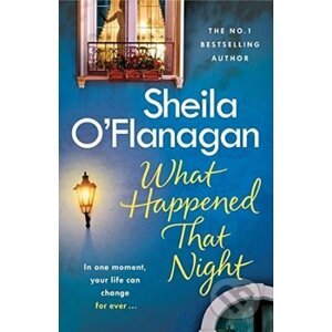 What Happened That Night - Sheila O'Flanagan