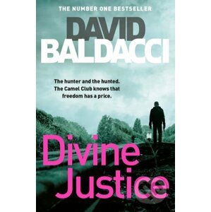 Divine Justice - David Baldacci