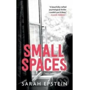 Small Spaces - Sarah Epstein
