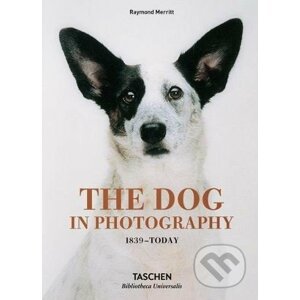 The Dog in Photography - Raymond Merritt