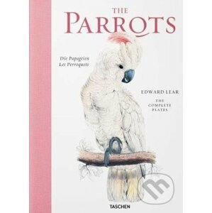 The Parrots - Francesco Solinas