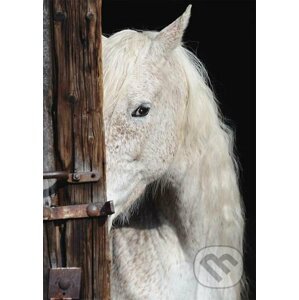 Equine Beauty - Schmidt